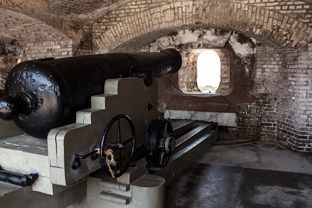 Cannon